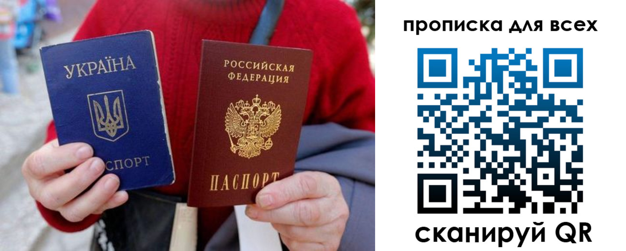 прописка поиск в Бабаево